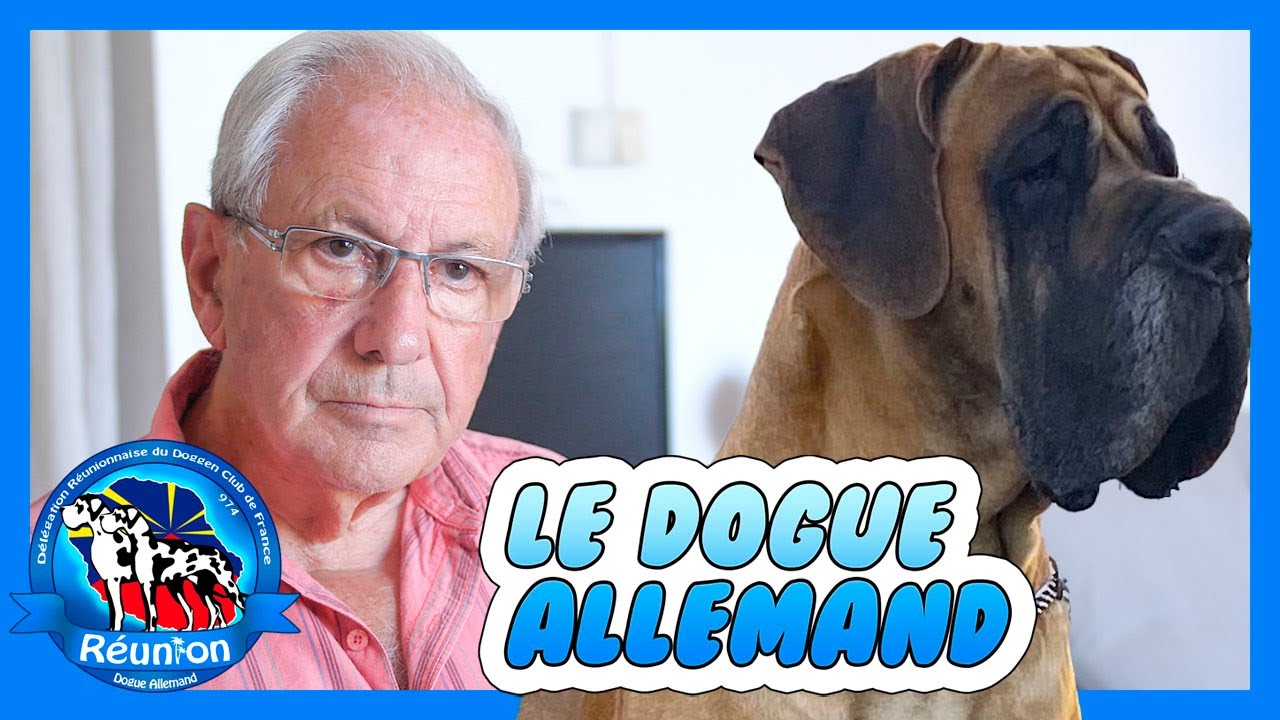 5 - Le Doggen Club de France - Le Dogue Allemand par Jean François Martin