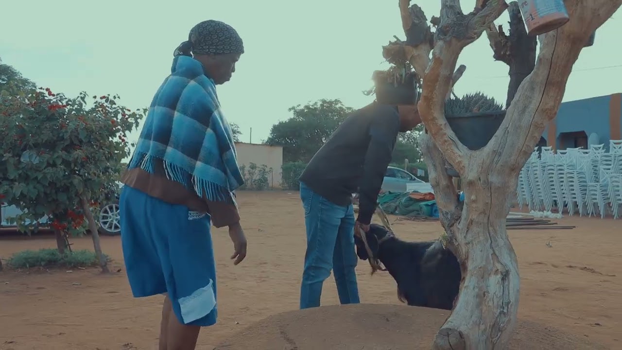 LOBOLA