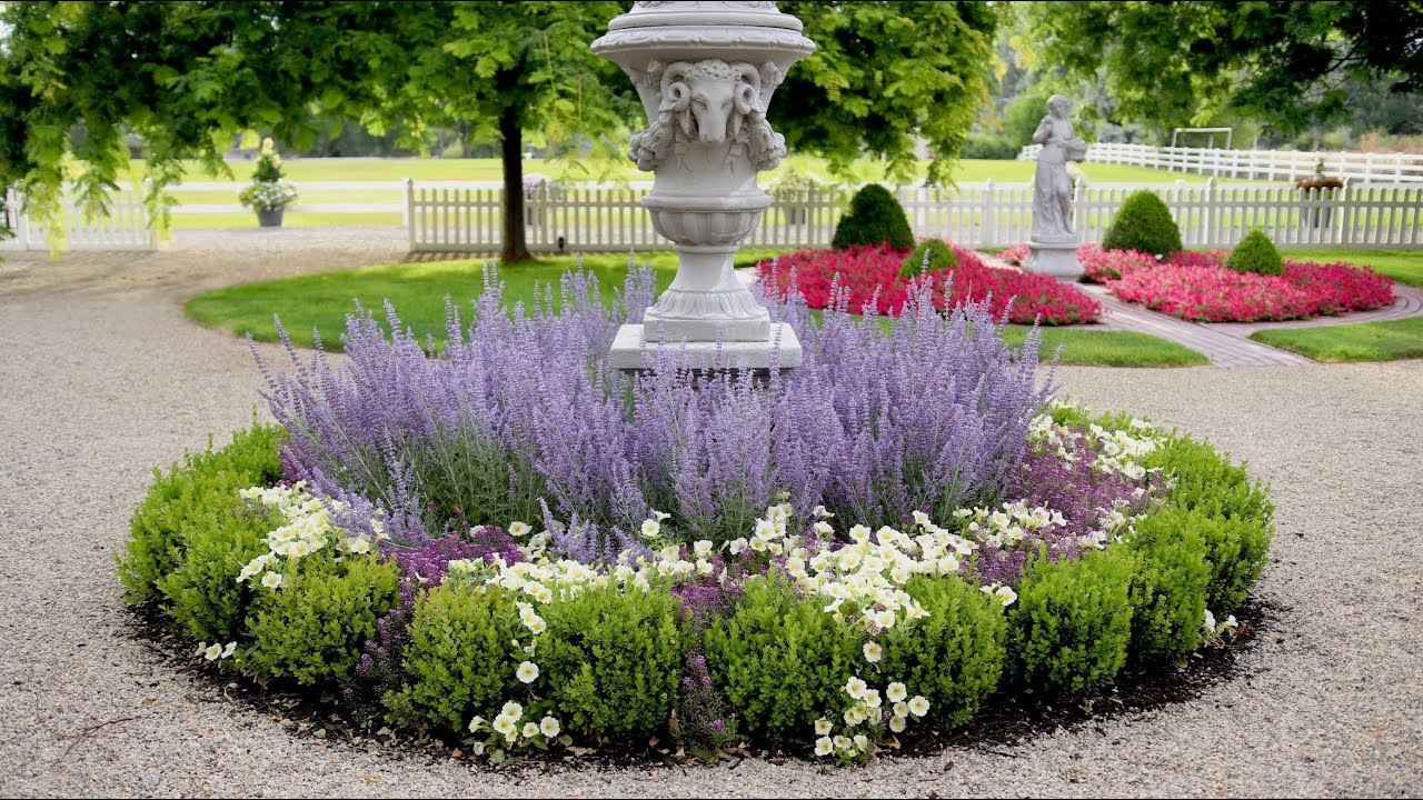 Удивительное ежегодное преображение! 🙌🌿😃 // Garden Answer
