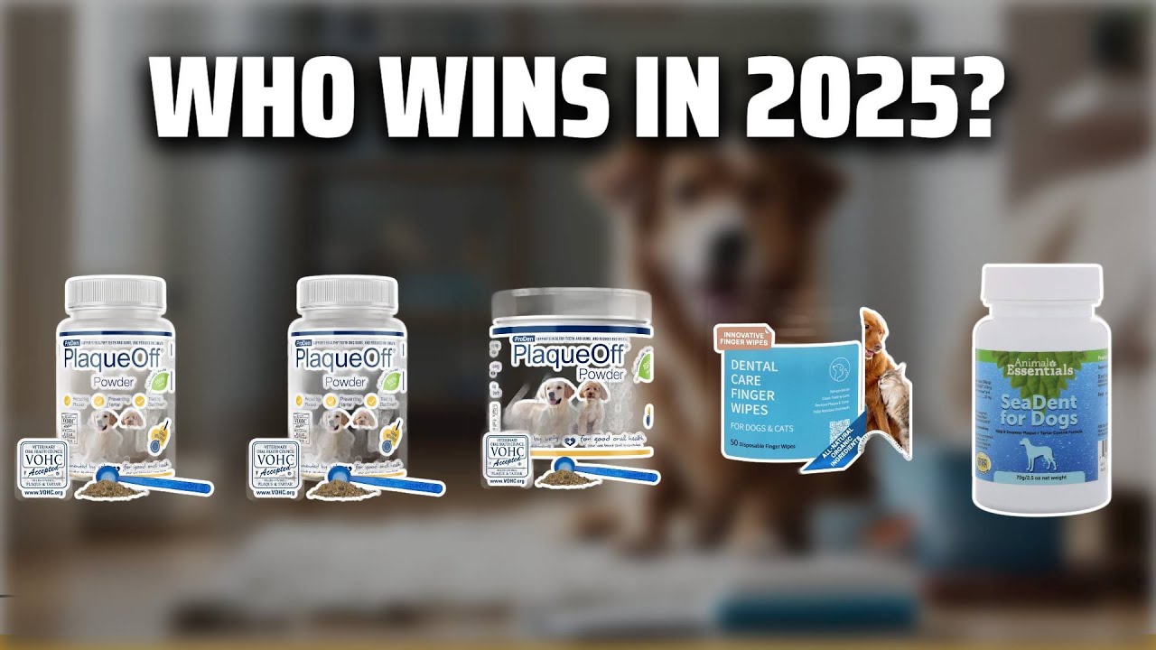 The Top 5 Best Dog Dental Powder in 2025 - Must Watch Before Buying!