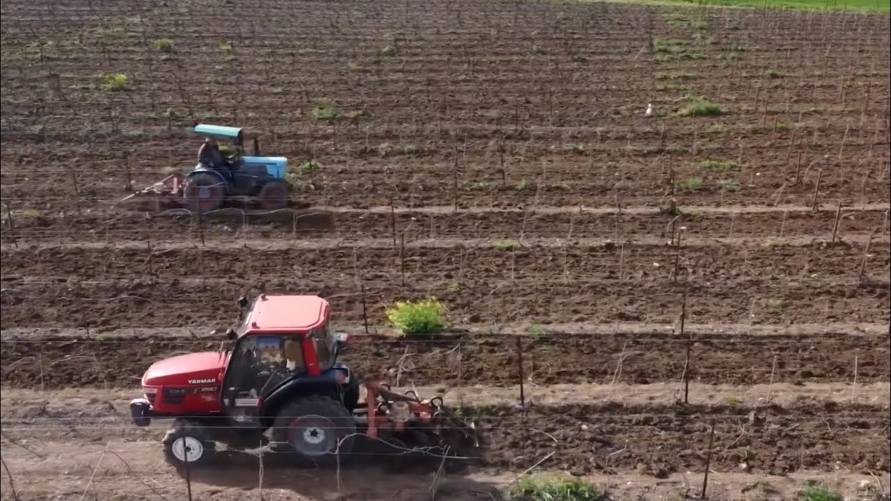 Vineyard tractors vineyard machinery | eicher 3706 & yanmar af250 with cultivator in action, Greece