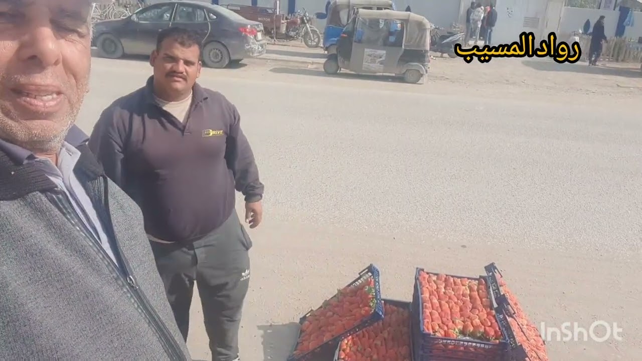 الاسعار بلاش