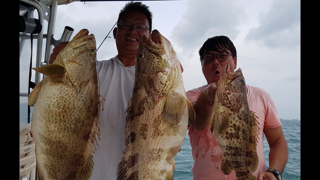 How to Drift Fish for Big Groupers! Ep 81 ONZZ Fishing Singapore