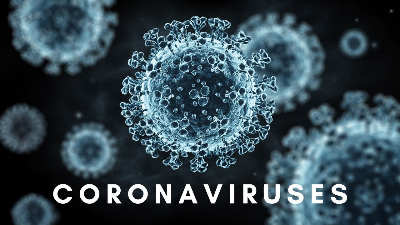 Understanding Coronaviruses: From Origins to Impact