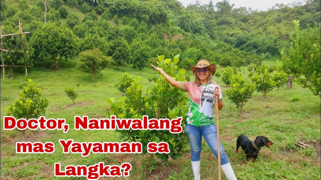 Doctor Nagtanim at Nadiskubre ang Malaking kita sa Langka