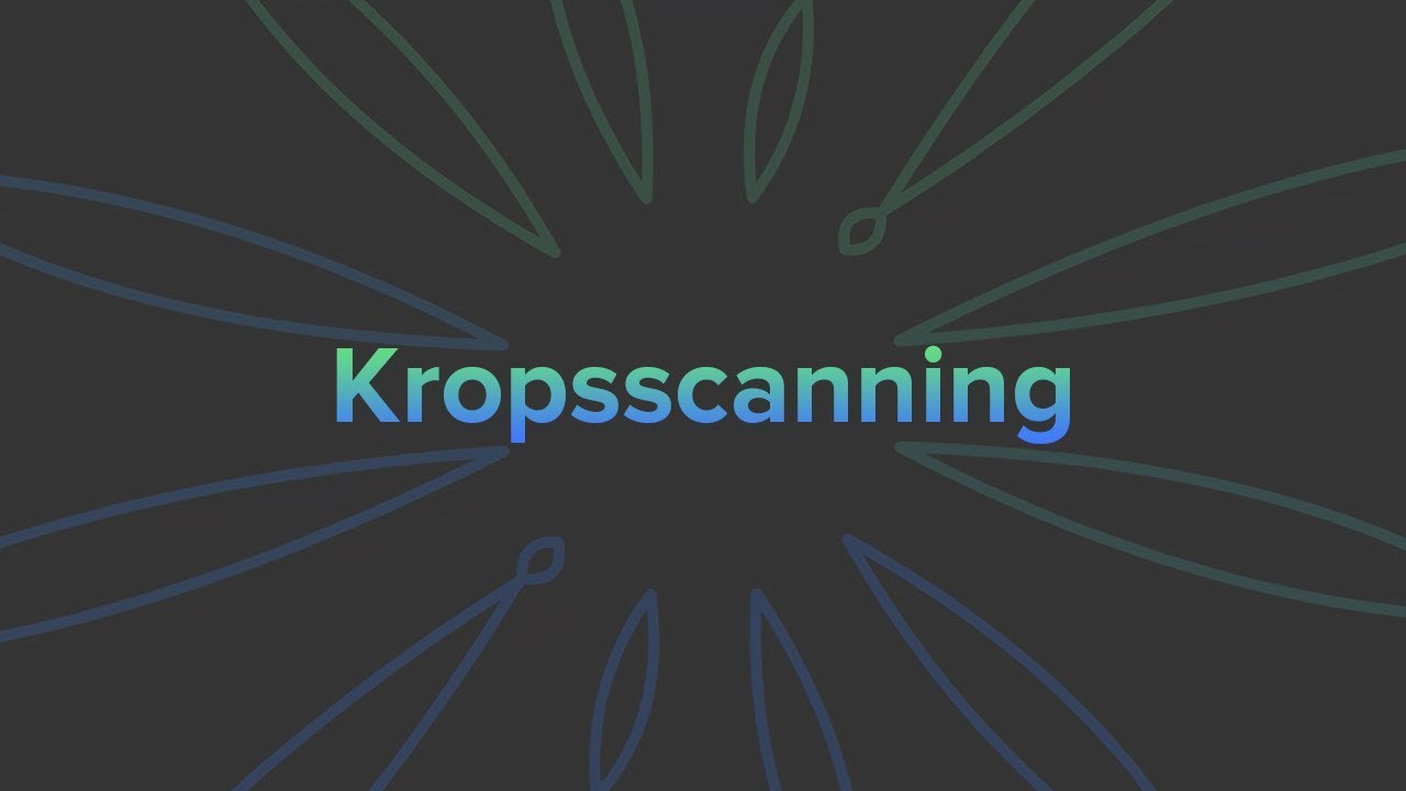 Mindfulness øvelse: Kropsscanning (gratis)