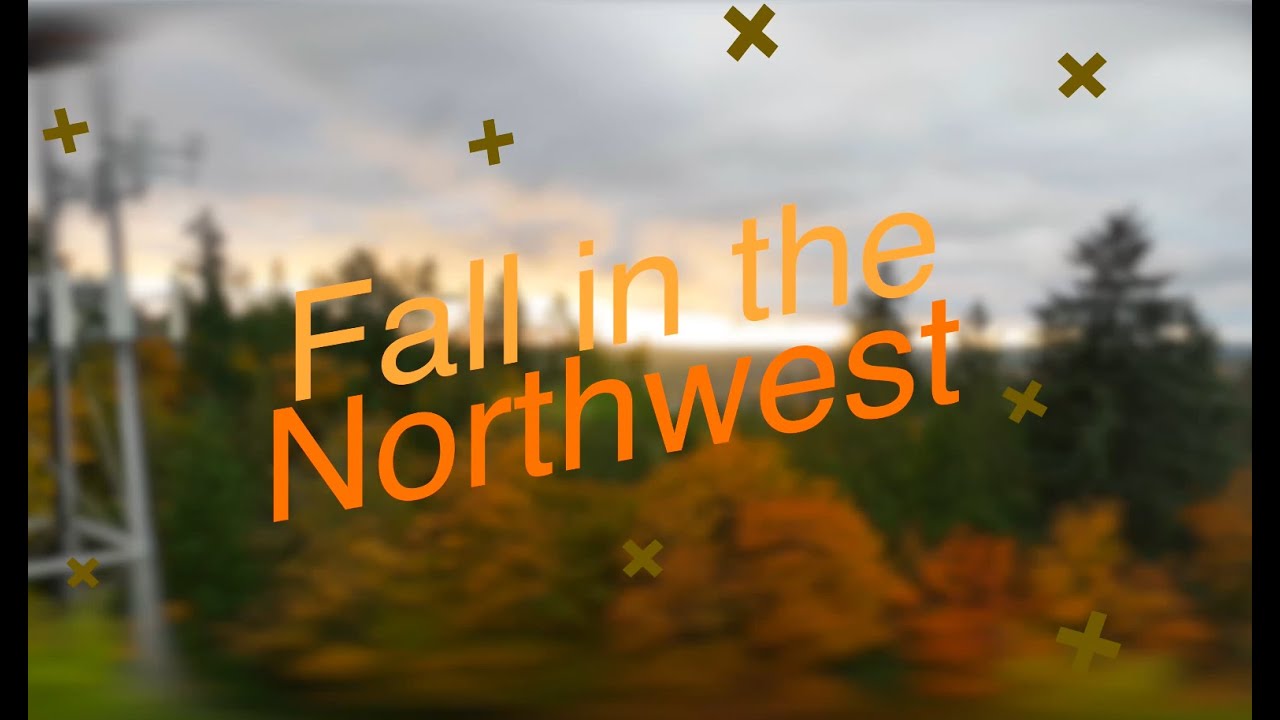 Fall in the Northwest #seattle #kenmore #dji #mavic3 #drone