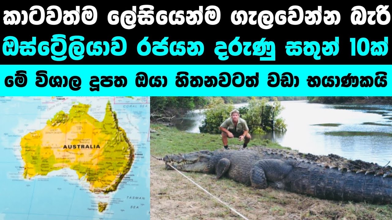 ඔස්ට්&zwj;රේලියාවේ වෙසෙන දරුණු සතුන් 10ක් | Terrifying Animals Found in Australia 🇦🇺🐊