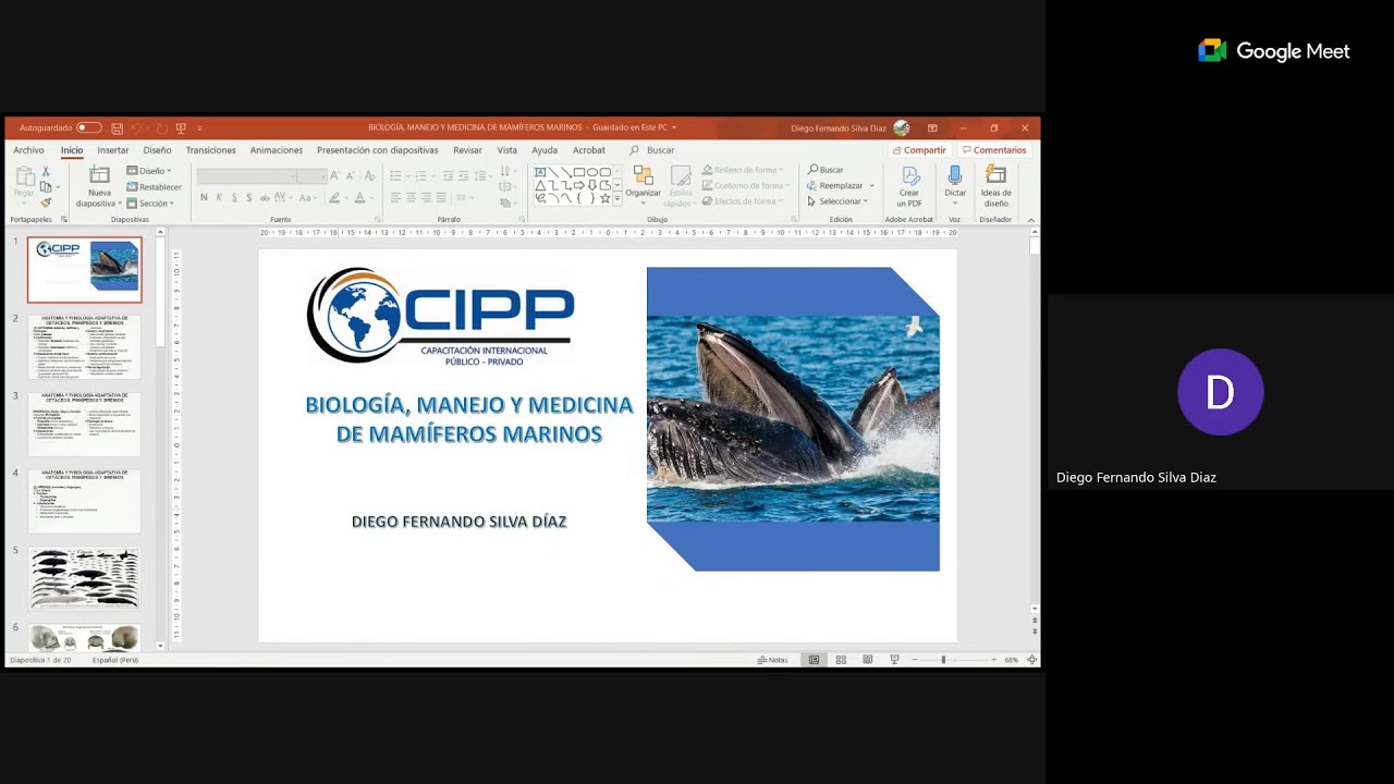 📚SESIÓN : 🛑*BIOLOGÍA, MANEJO Y MEDICINA DE MAMÍFEROS MARINOS*.🛑