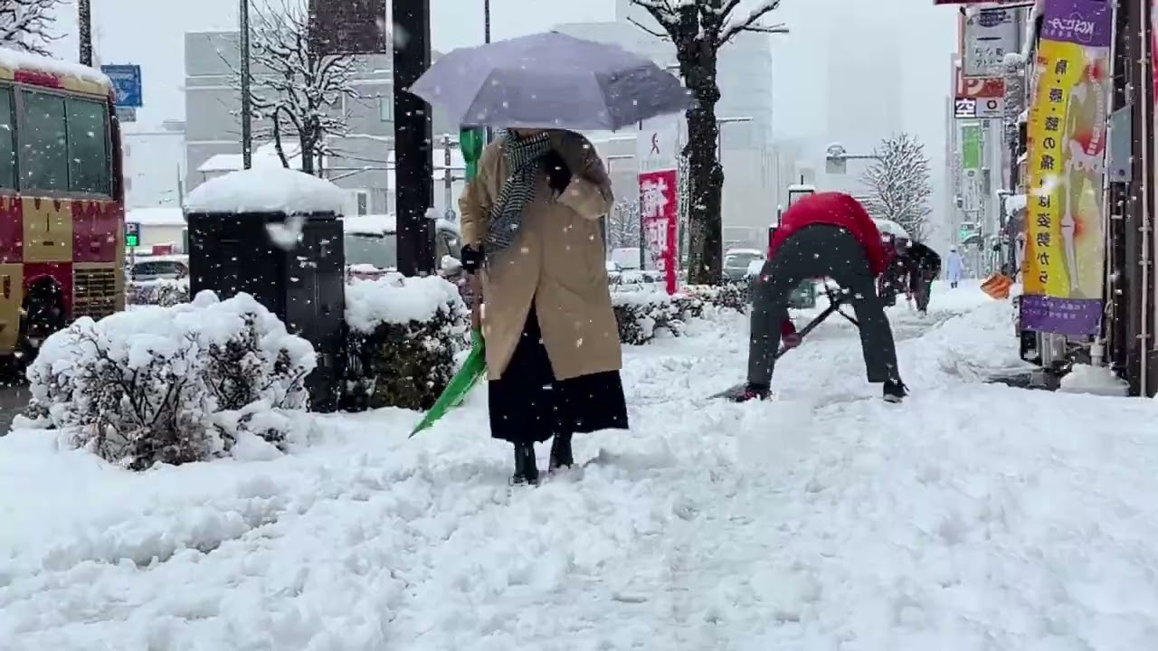 栃木県内11市町に大雪警報