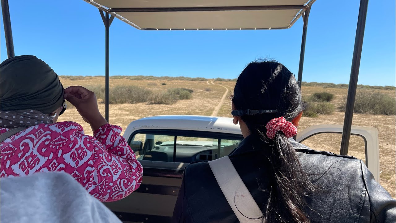 Went On A Game Drive at THALI THALI //vlog// south africa