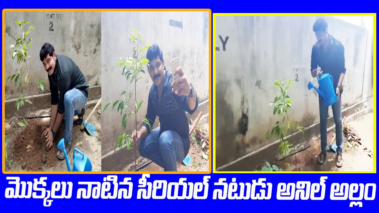 Allam Anil Planted Saplings Following MP Santosh Kumar TRS Green Challenge | Anil Allam | GT TV