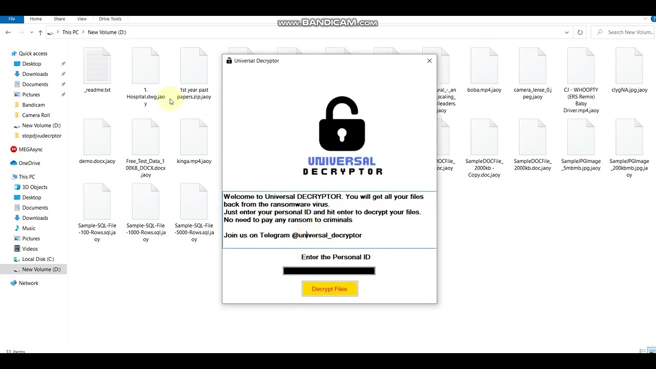 How to Decrypt JAOY And JASA Ransomware Files | Universal Decryptor