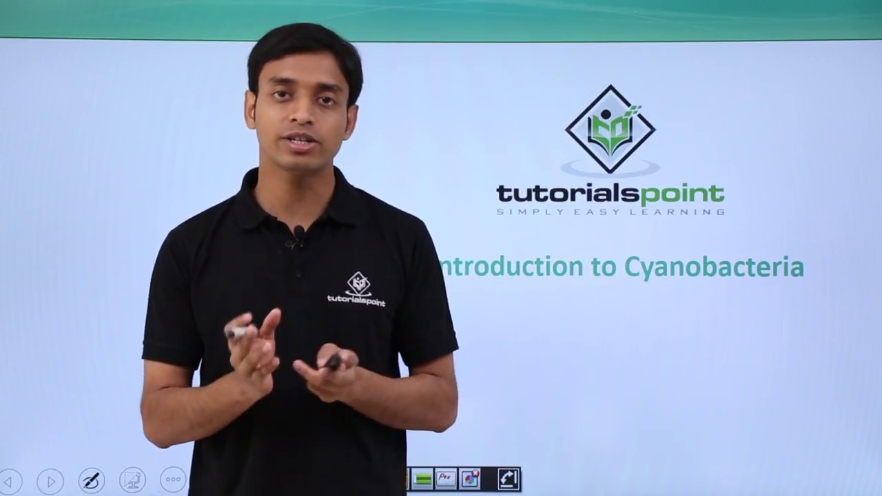 Class 11th – Cyanobacteria – Introduction | Biological Classification | Tutorials Point