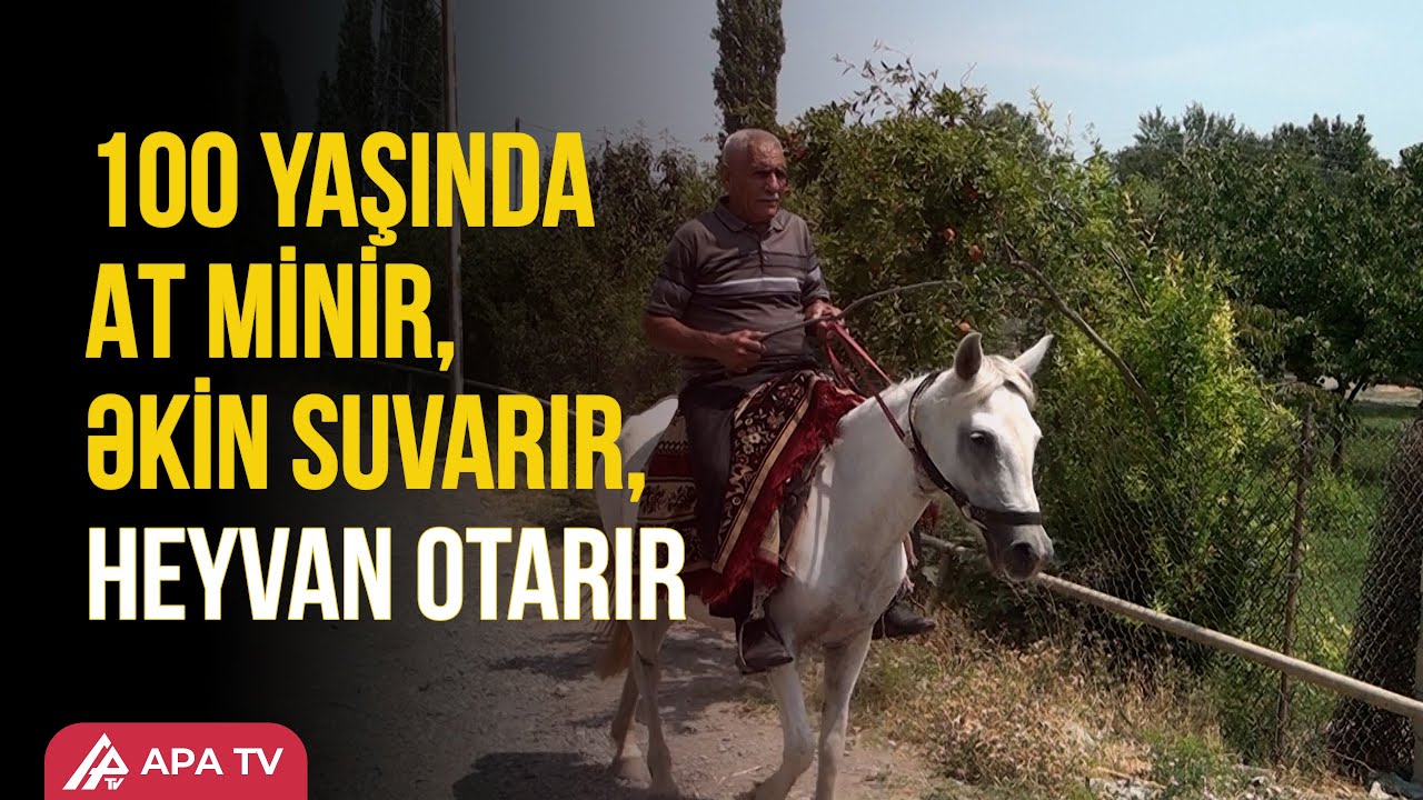 11 yaşından tərəkəmə həyatı sürən 100 yaşlı Əli Rzayev – APA TV