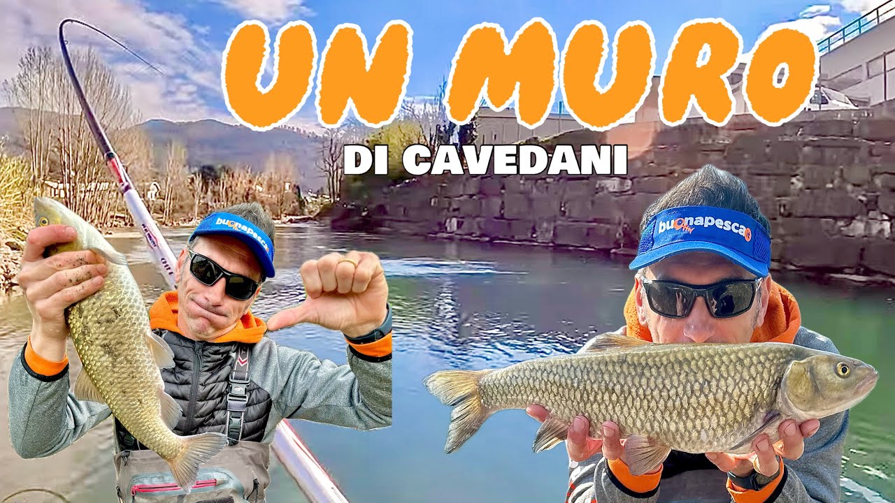 Un MURO di Cavedani