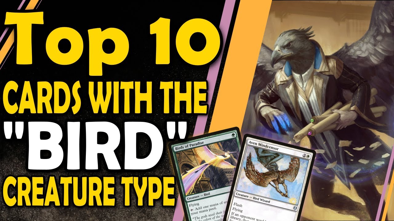 Top 10 BEST Birds in Magic the Gathering