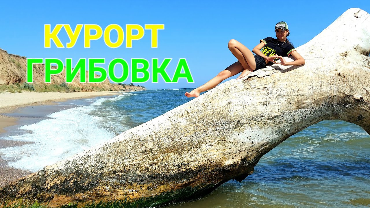 Курорт Грибовка. Люди на море. Пляжи. Базы. Леонидово. Каролино - Бугаз. Санжейка. Одесса. #зоотроп