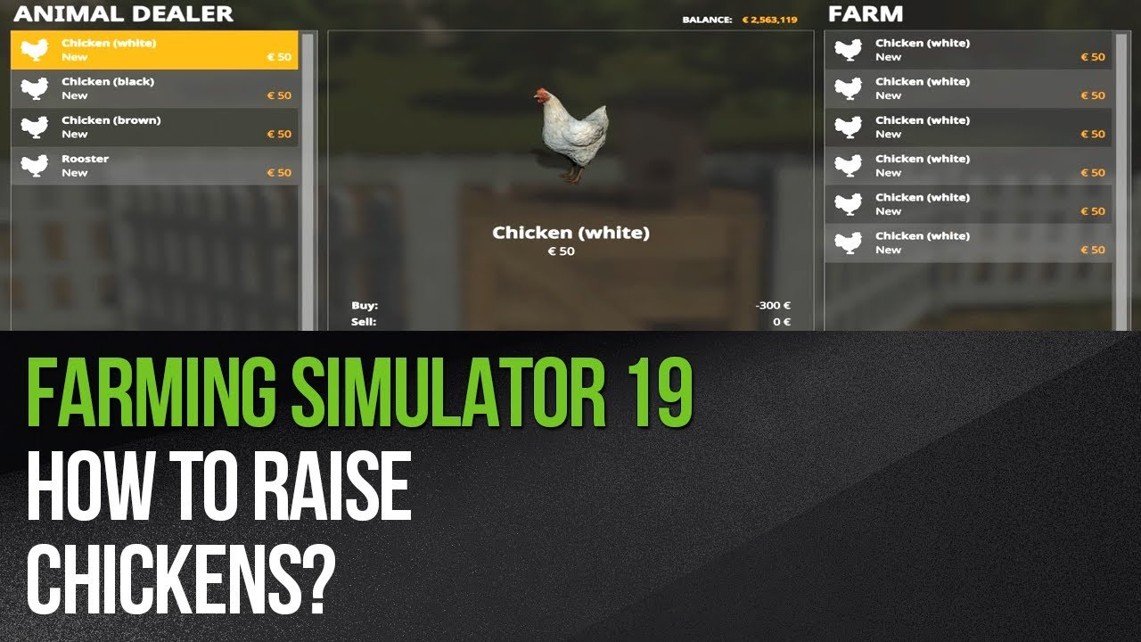 Farming Simulator 19 - How to raise chickens?