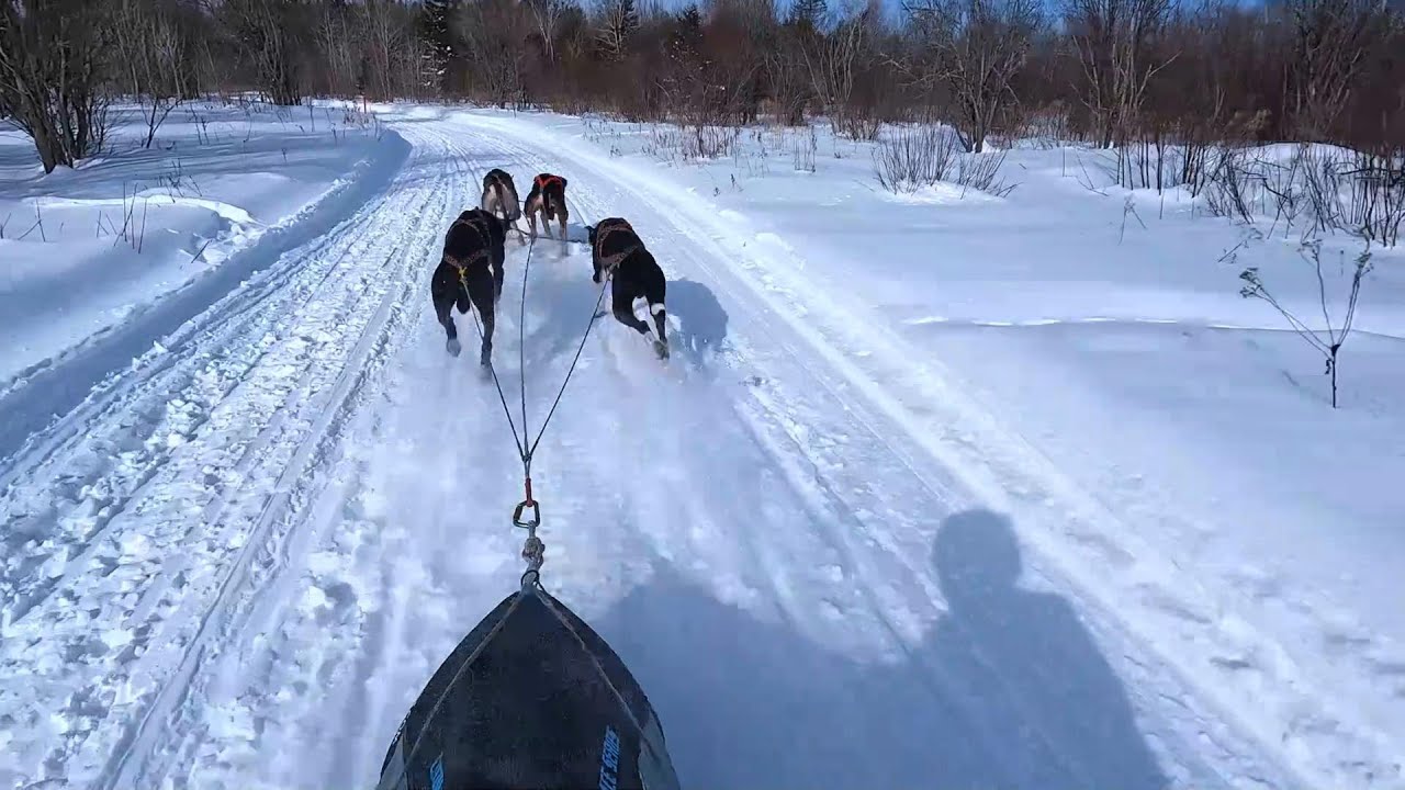 2025 Maniwaki International Dog Sled Race