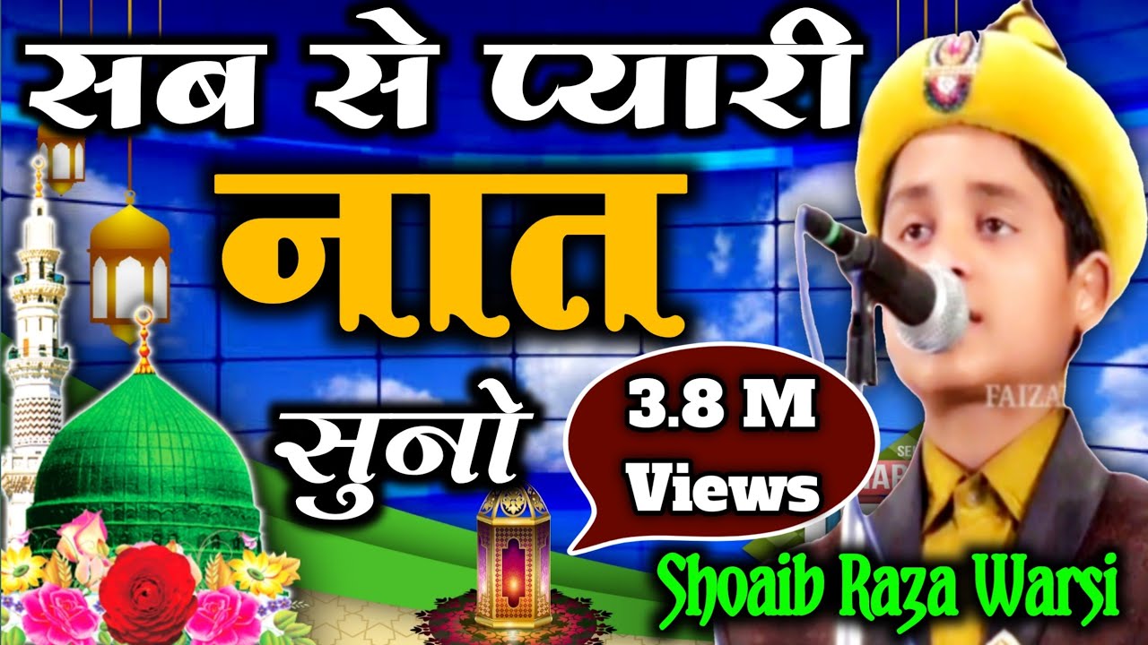 Shoaib Raza Waarsi In Dhingarpur