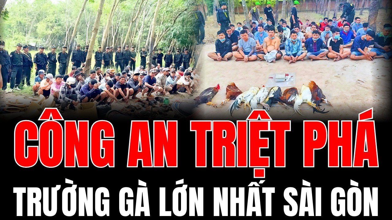Công An Triệt Phá Sòng Bạc Đá Gà Trong Rừng Sài Gòn Tết 2026: Bắt Hơn 80 Người, Thu 300 Triệu Đồng.