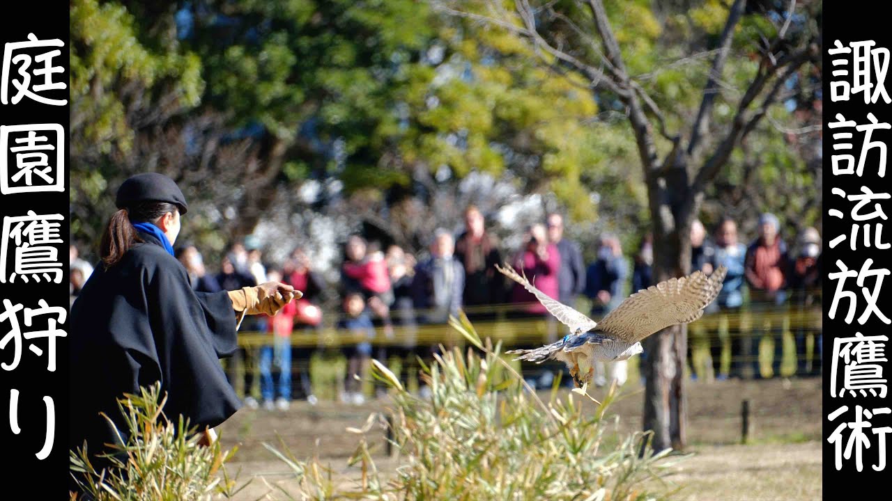 1月3日 鷹狩り 2026年