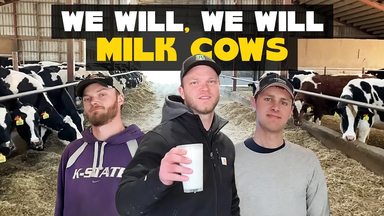 We Will Milk Cows (We Will Rock You Parody)
