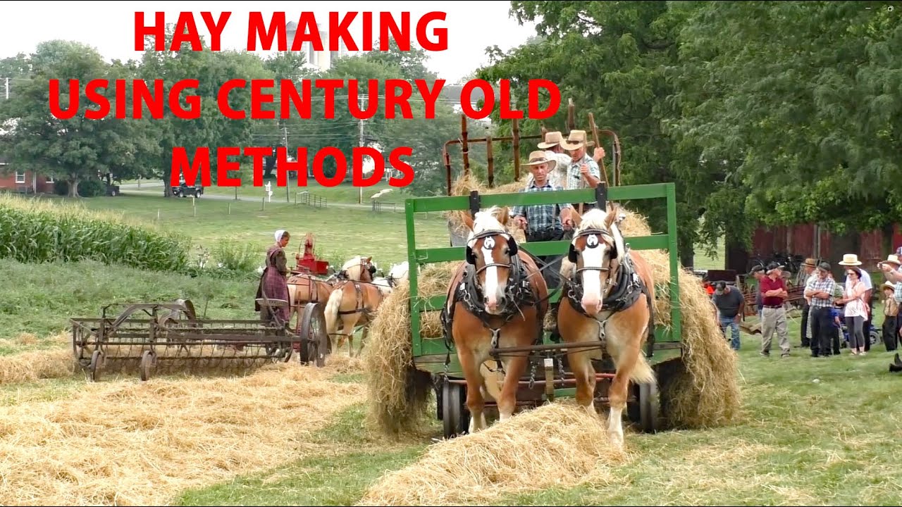 ANTIQUE Horse Drawn HAY MAKING Equipment at Work - Big Spring Farm  Lancaster County's AMISH LAND