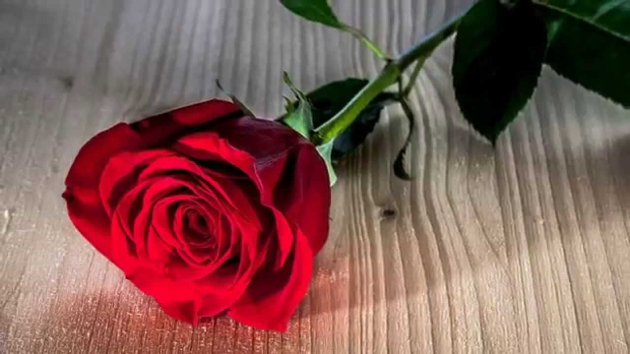 HAPPY BIRTHDAY DEBORAH
