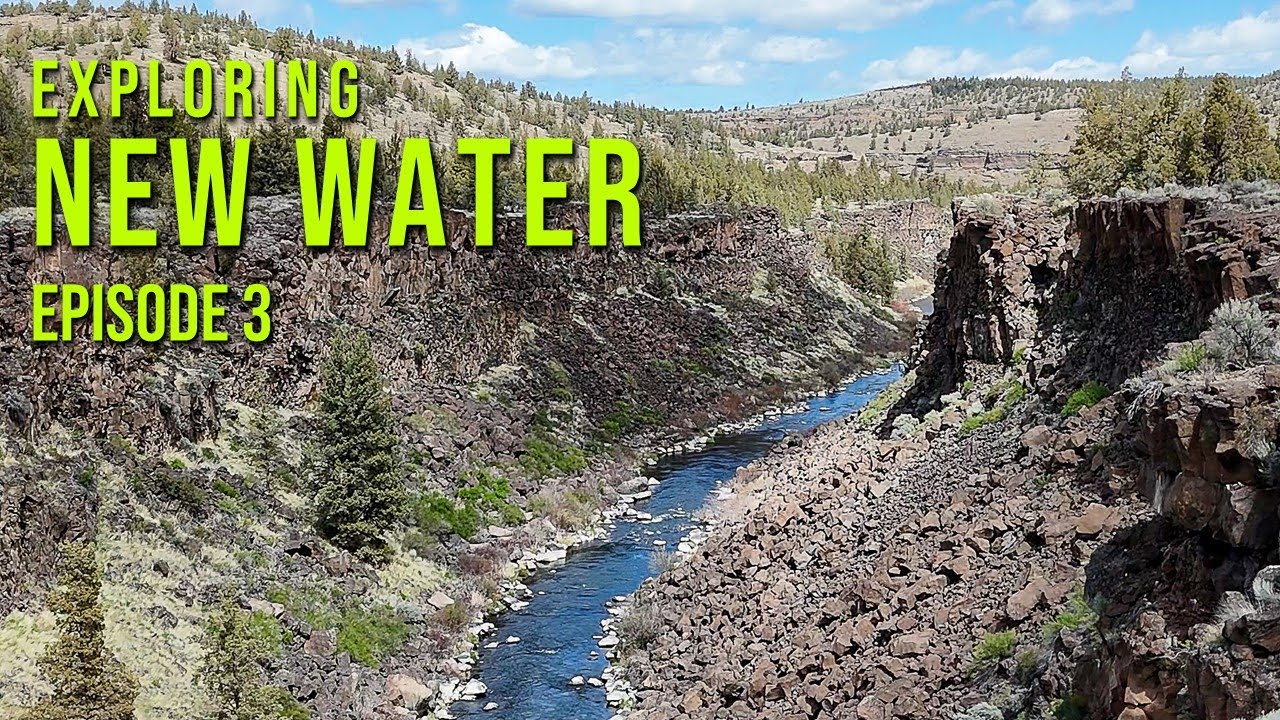 Euro Nymphing New Water for Wild Rainbow Trout || Fly Fishing in Oregon