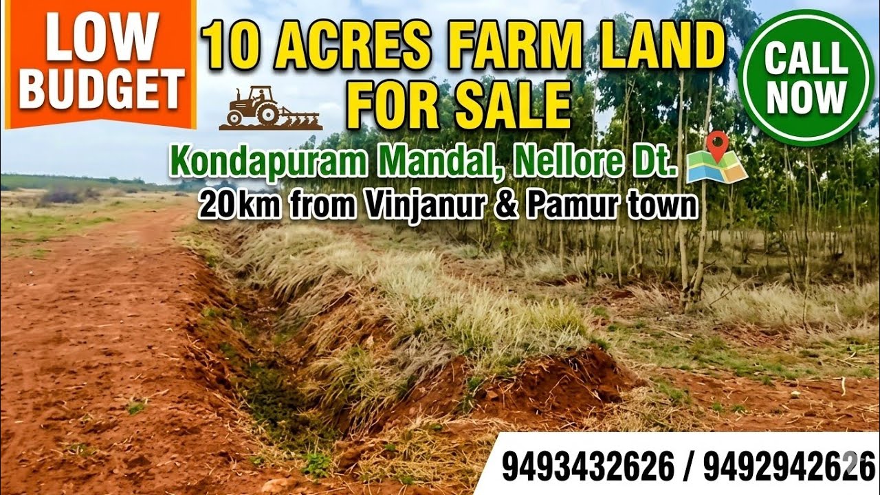 Low-Budget 10-Acre Farm Land for Sale in Kondapuram Mandal, Nellore District