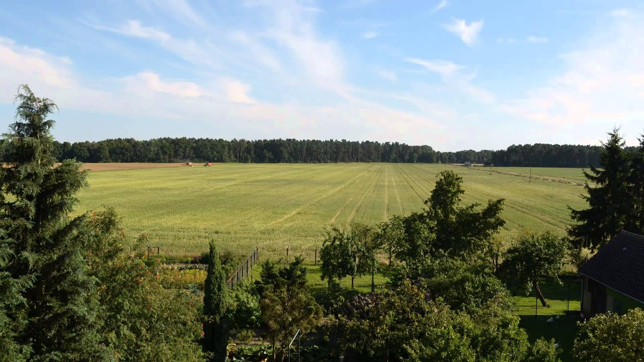 Rapsernte Göhlen 17. Juli 2014