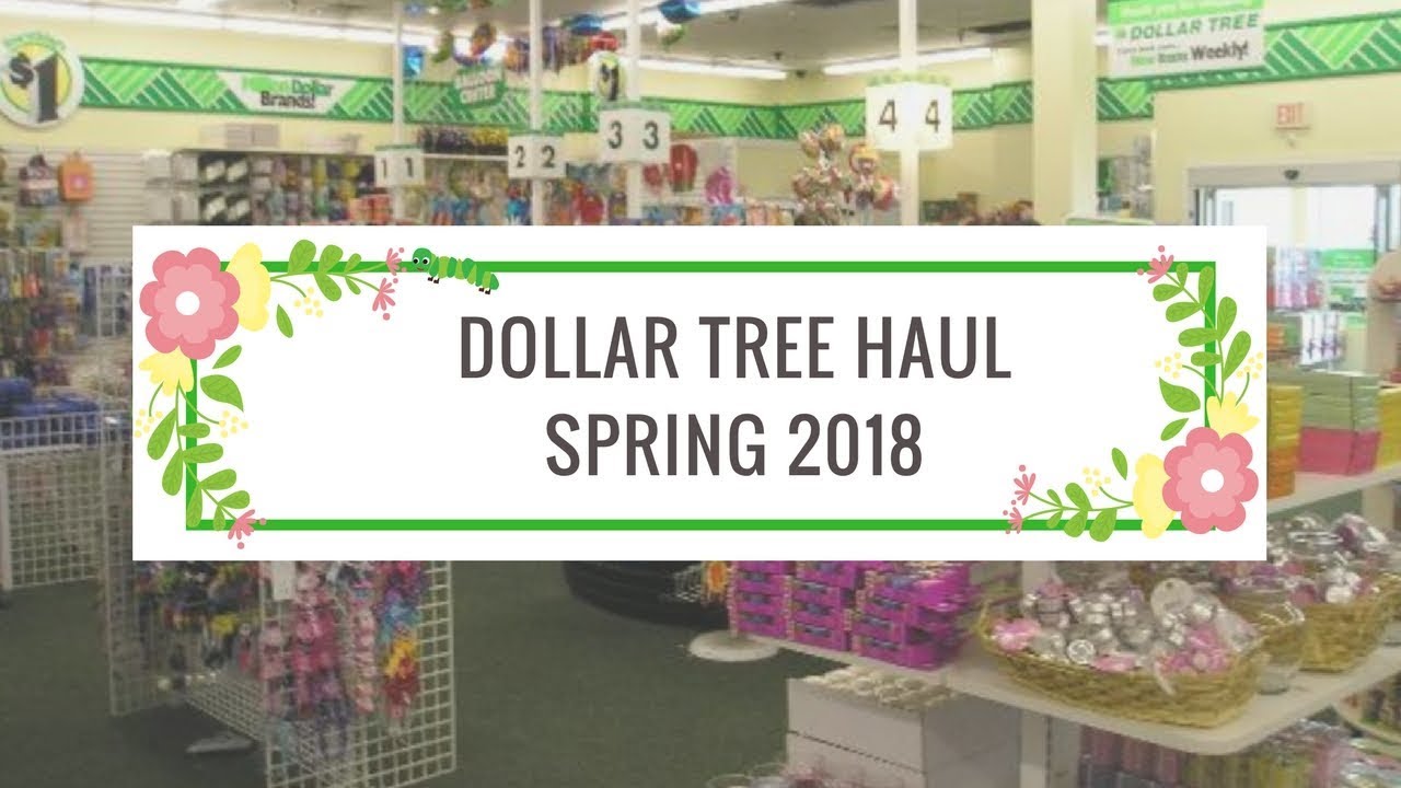 DOLLAR TREE HAUL #2 || DOLLAR TREE DIY | 2018