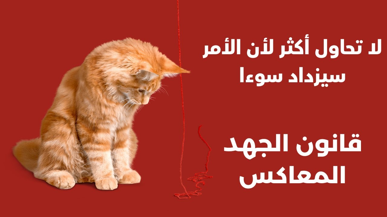 لا تحاول أكثر، لأن الأمر سيزداد سوءا I 