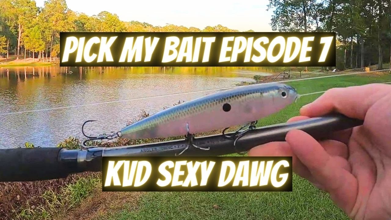 Pick My Bait Episode 7: KVD Sexy Dawg