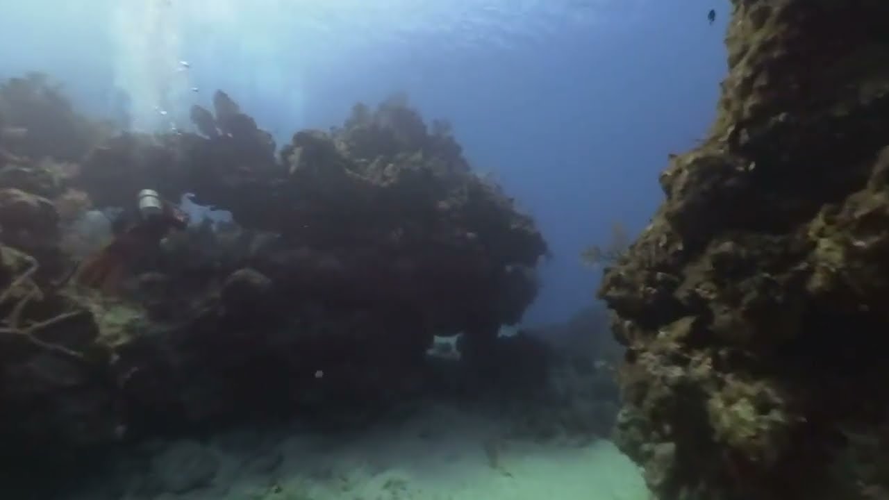 DD6 Grand Cayman Smiths Cove 3