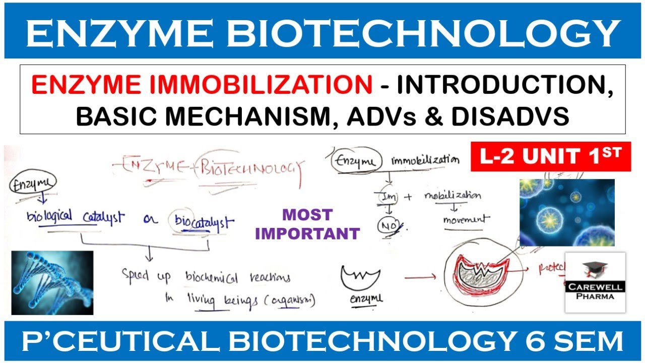 Enzyme Biotechnology || Enzyme Immobilization || L-2 U-1 || Pharmaceutical Biotechnology 6th sem