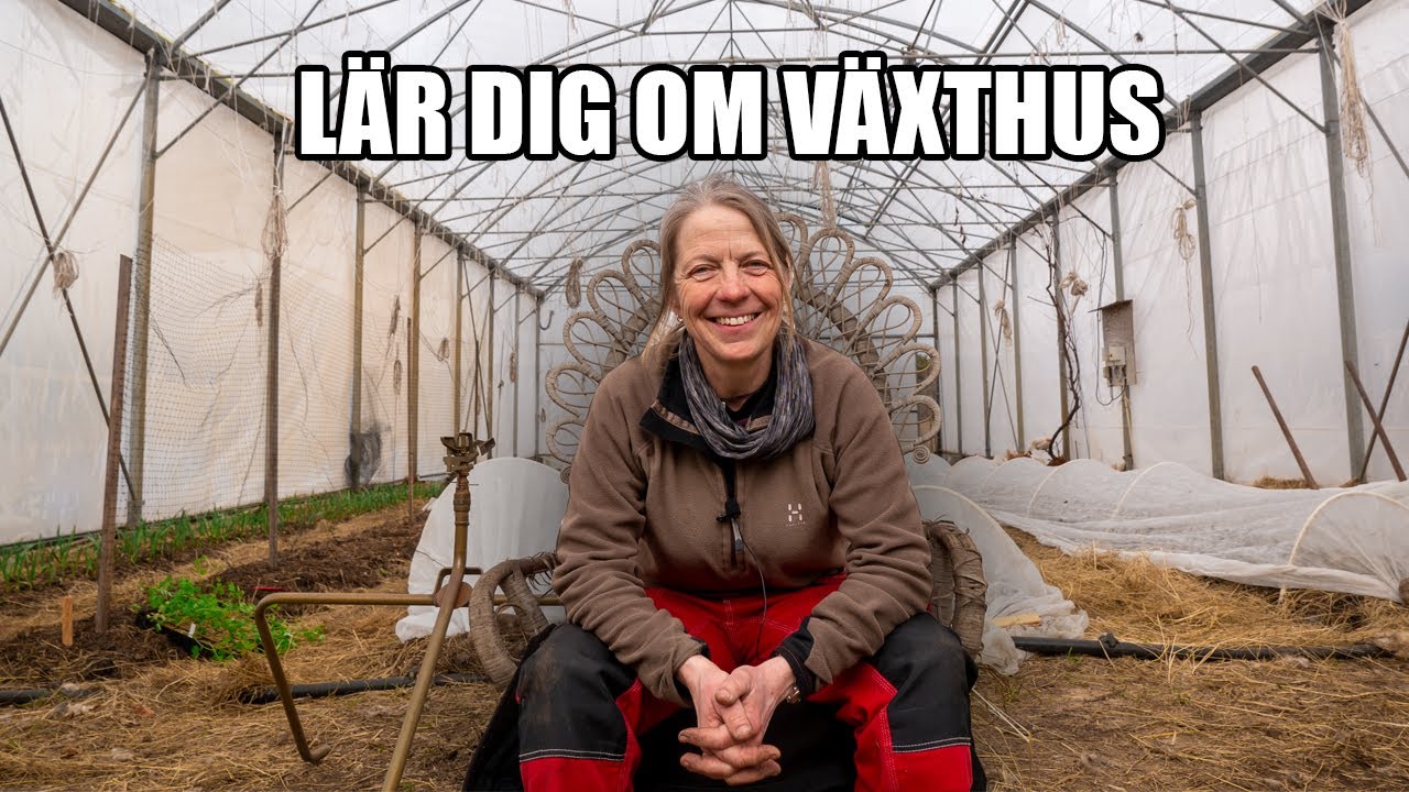 Lär dig om växthus - Kosters Trädgårdar