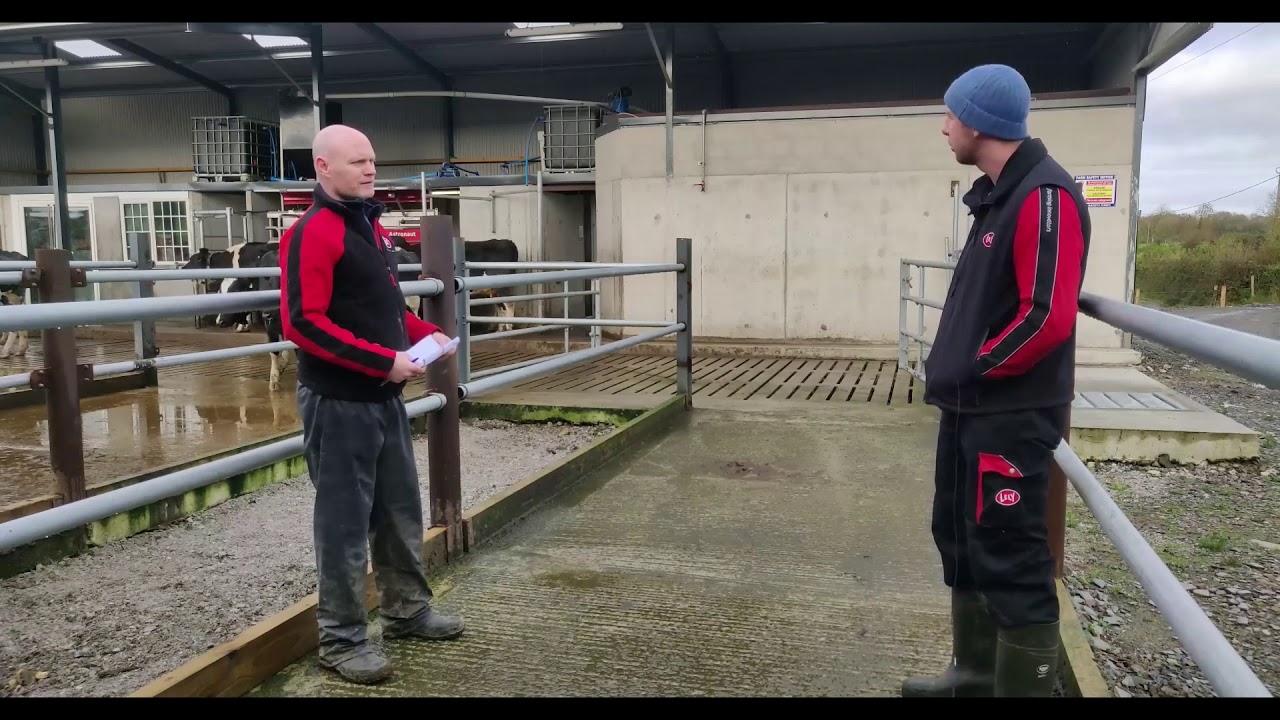 Andrew Browne open day - new entrant with Lely robot and 60 heifers