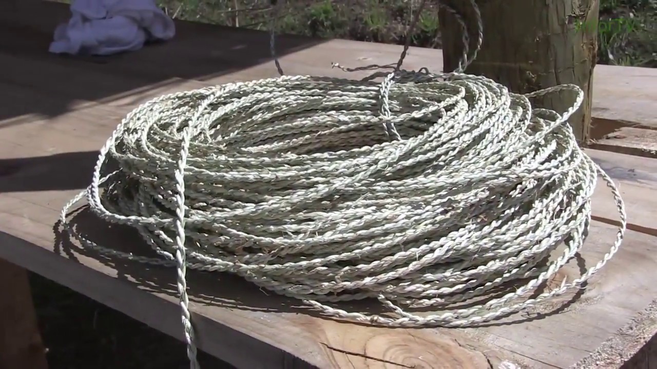 FINALIZACION TALLER ELABORACIÓN Y MANEJO DE LA PILGUA - NOTA CANAL 8