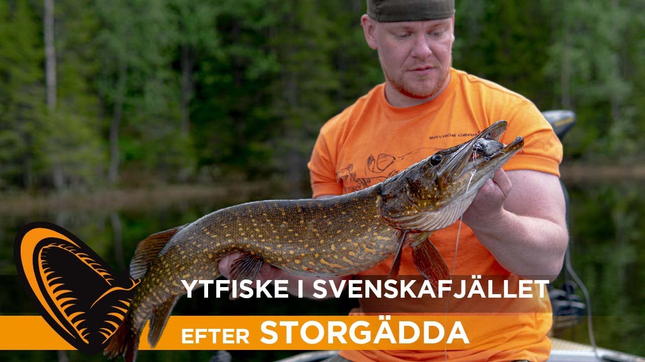 Ytfiske I Svenska fjället efter storgädda