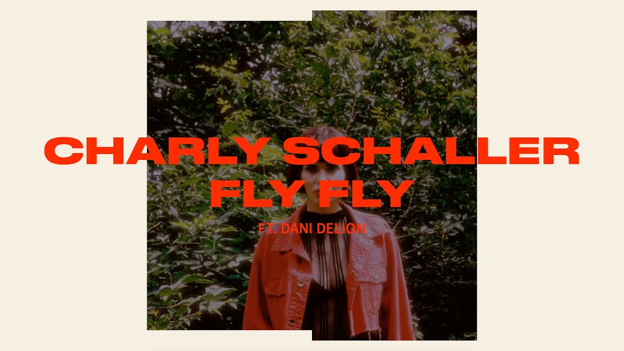 Charly Schaller - Fly Fly ft. Dani Delion
