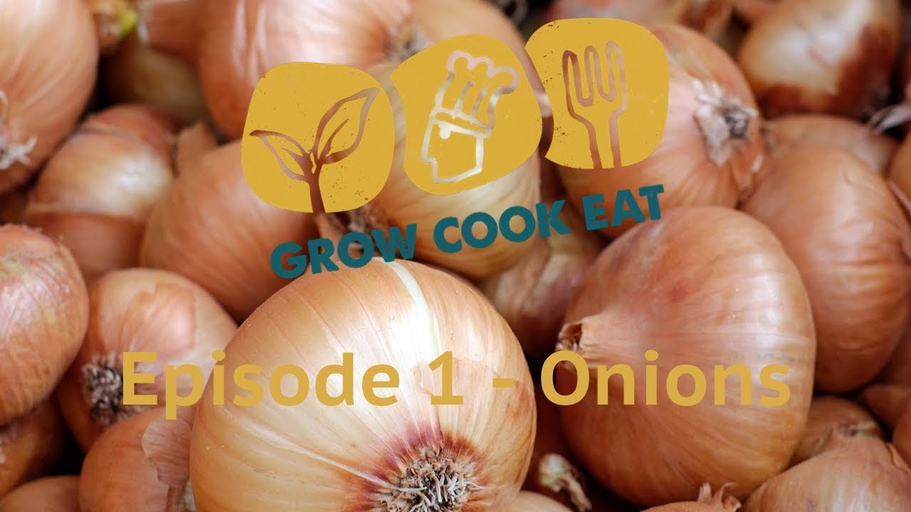 GROW COOK EAT S2E01 Onions