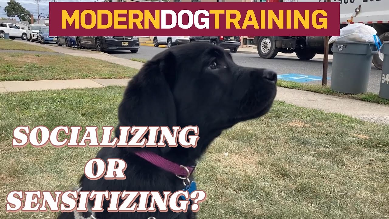 SOCIALIZING OR SENSITIZING - WHICH ONE ARE YOU DOING?