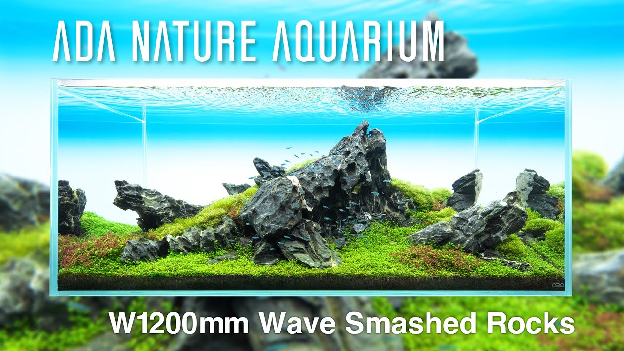 [ADAview] Wave Smashed Rocks／大波岩 - W1200mm Nature Aquarium Layout-【EN/JP Sub.】