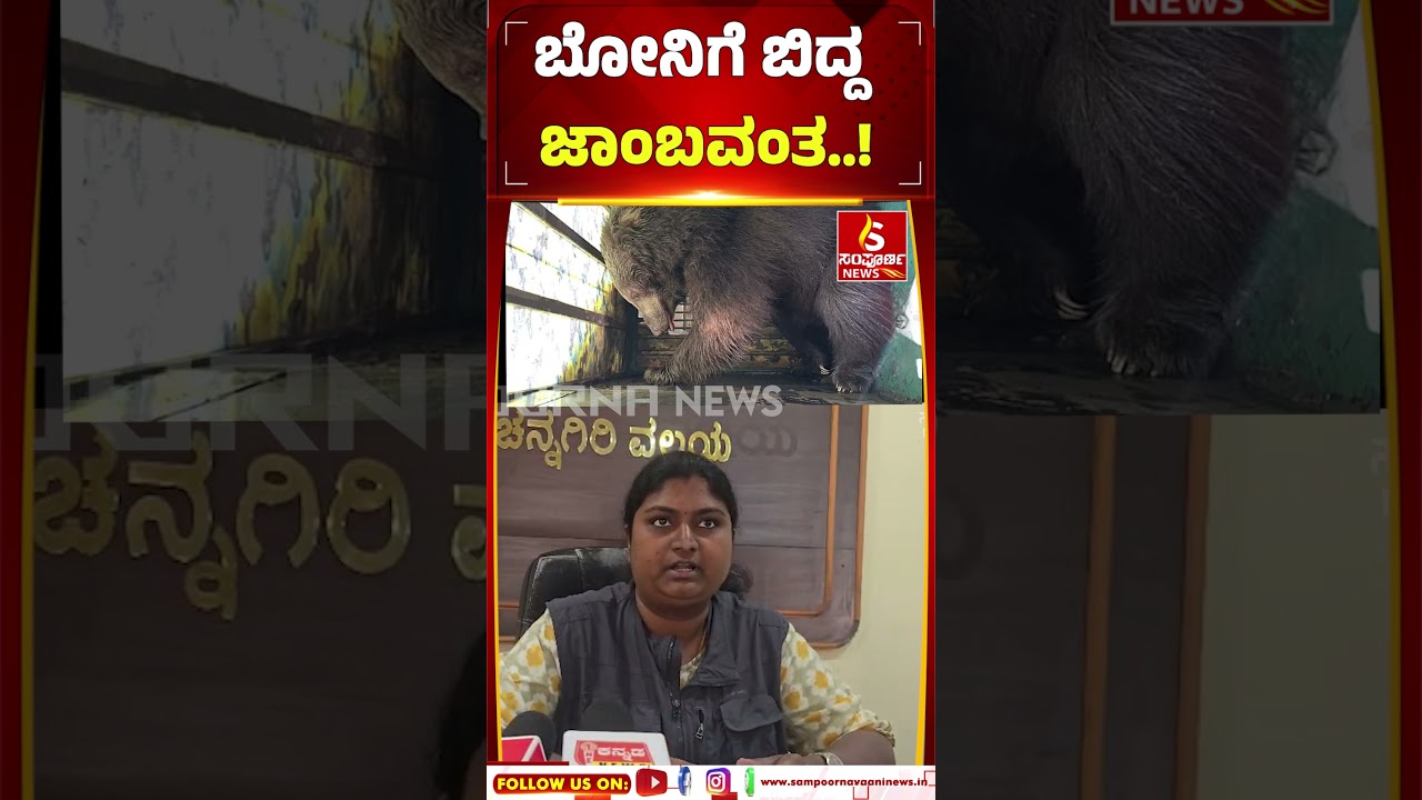 A Bear Fell Into A Cage | ಬೋನಿಗೆ ಬಿದ್ದ ಜಾಂಬವಂತ..! Sampoorna News