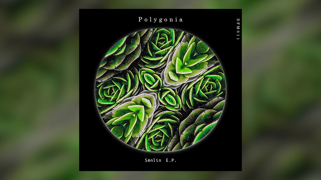 Polygonia - Mangrove [DFM011 / Deflection Music]
