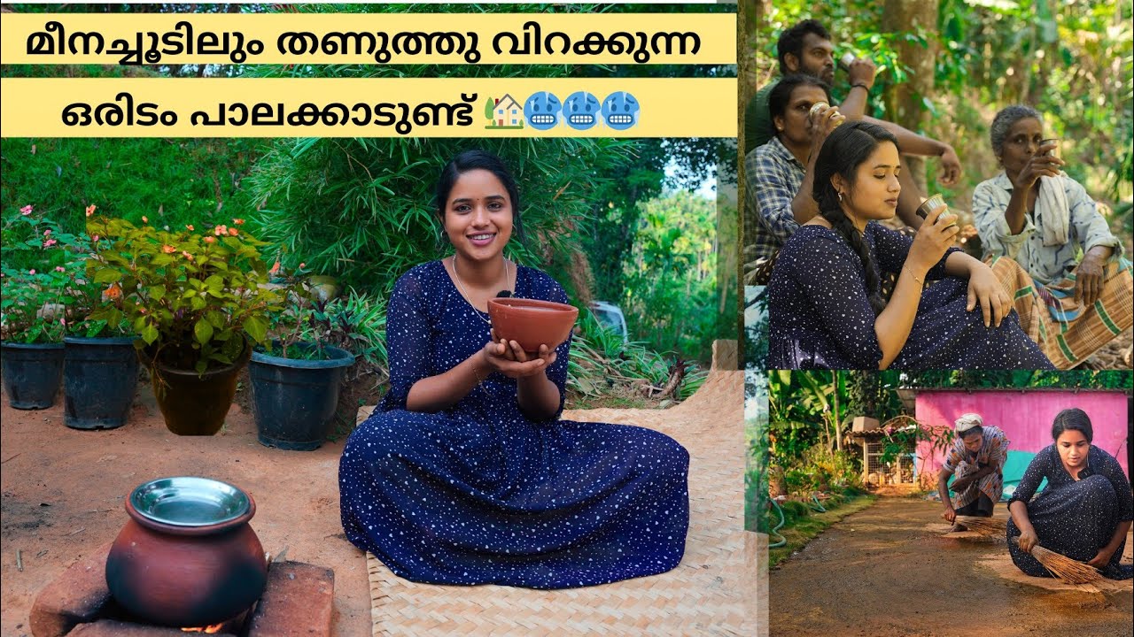 മീനച്ചൂടിലും തണുത്തു വിറക്കുന്ന ഒരിടം പാലക്കാടുണ്ട് 🏡🥶🥶🥶/Saranya/Attappady