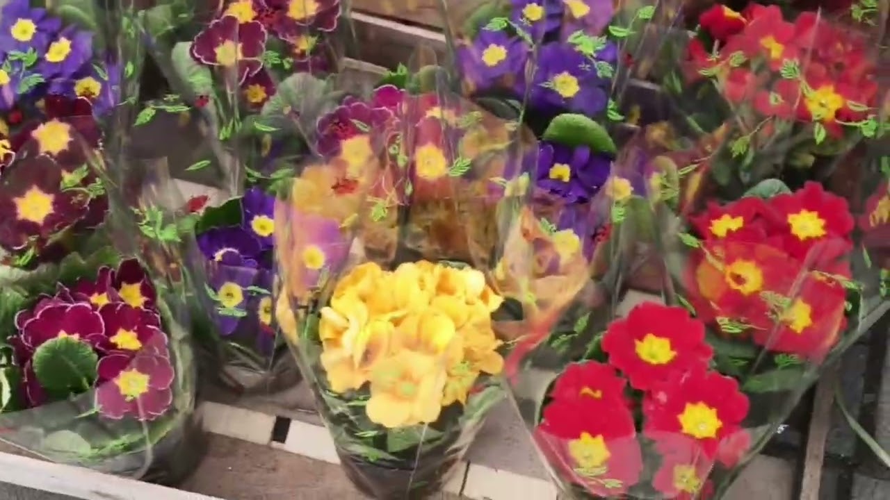 Цветочный рынок !🌾Все для женщин !💐#обзор 